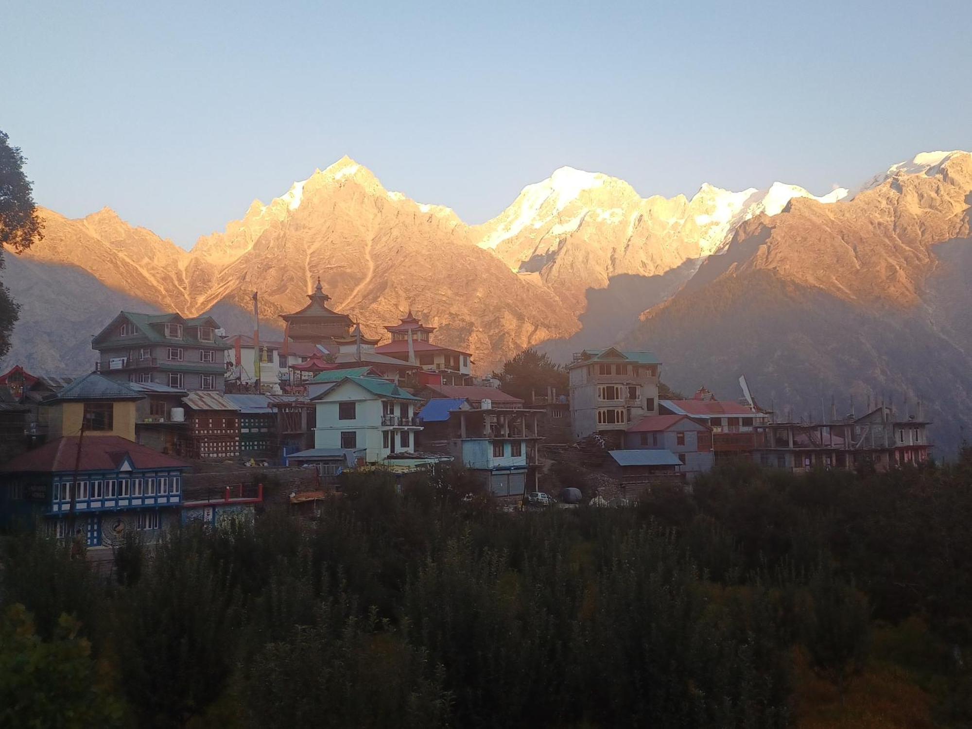 Pine View Retreat Homestay Kalpa Buitenkant foto